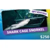 Kelly Tarlton's $250 NZD Physical Gift Card (Express Delivery)