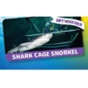 Kelly Tarlton's Digital Gift Cards (Email Delivery)